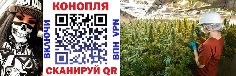 Сколько стоит Солигалич Каннабис  Мефедрон  ГАШИШ 