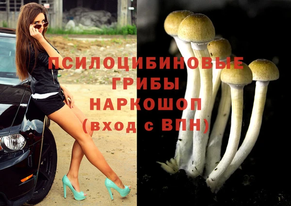 соль курить ск Армянск