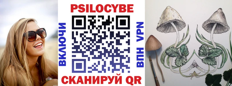 KRAKEN   Солигалич  Псилоцибиновые грибы Psilocybine cubensis 